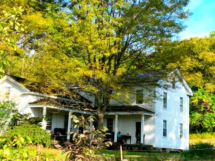 White two story farmhouse surrounded by tall green trees