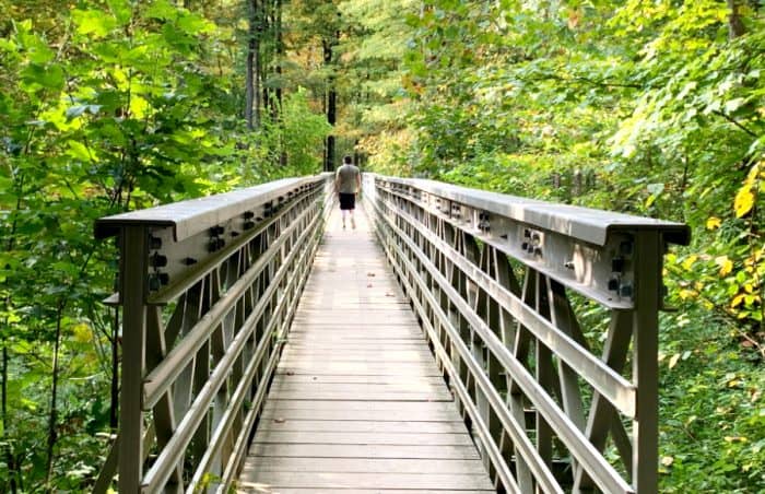 Wooden bridge through thick greenery in a forest