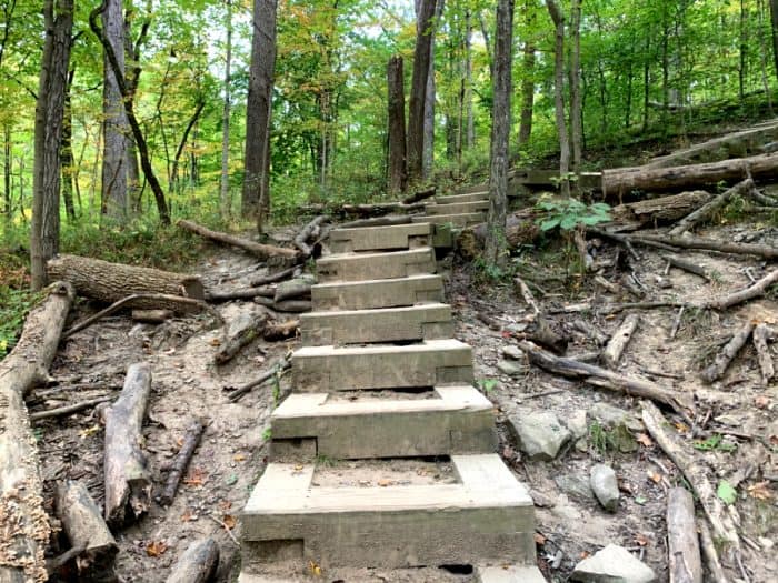 Concrete steps on a trail path surrounding by logs and green trees