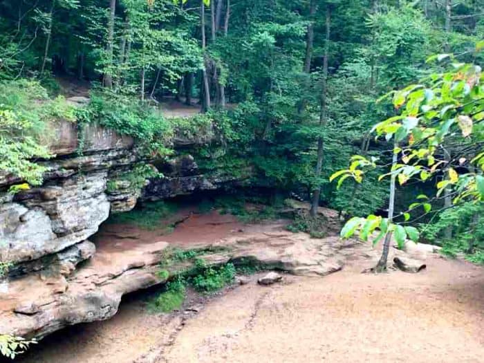 In the middle of a forest with many tall green trees and a sandstone recess cave